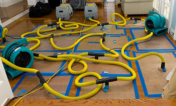 Professional Water Damage Repair technician working in Waterford, MS